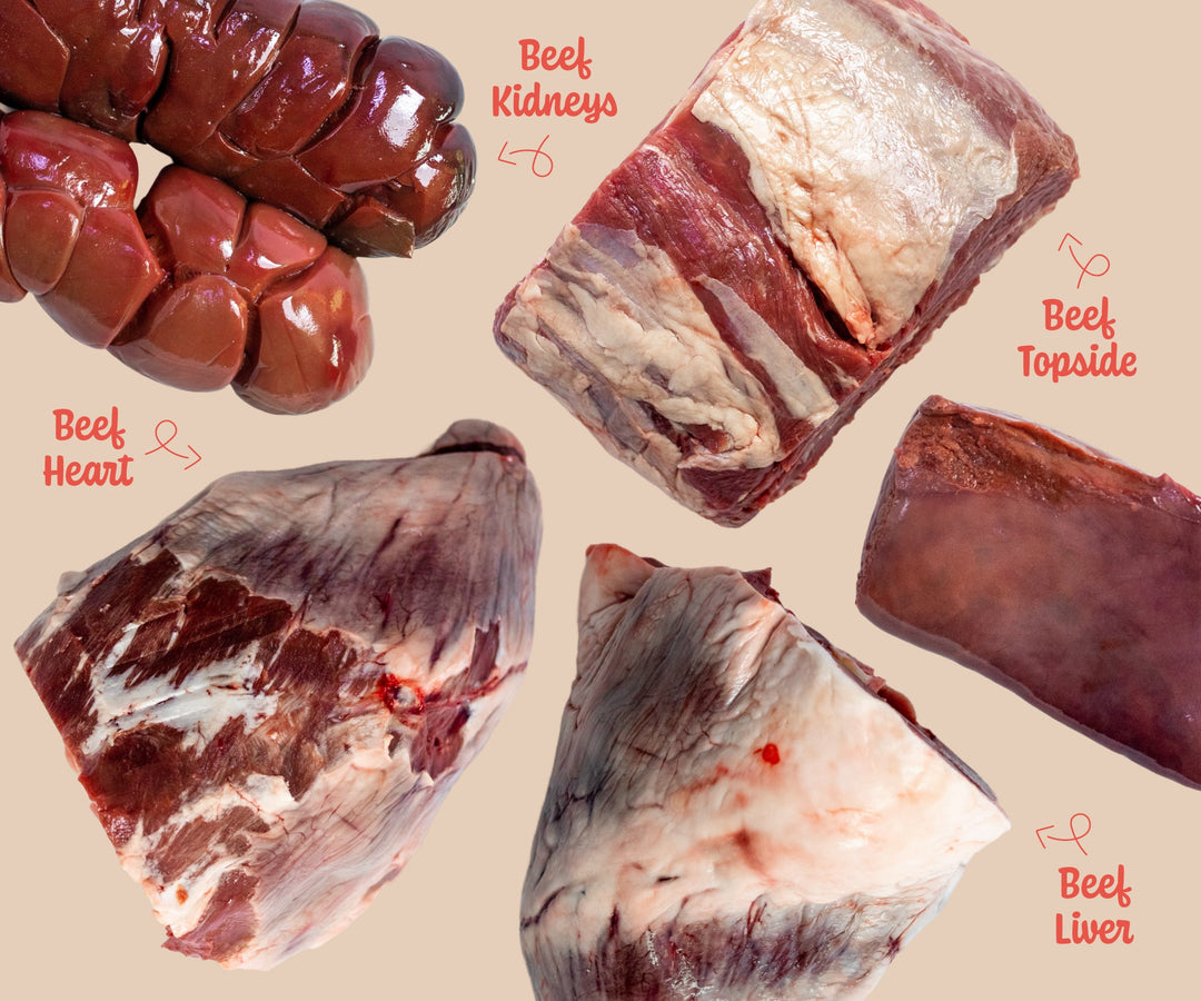 Brilliant Beef – Strength and Vitality in Every Bite