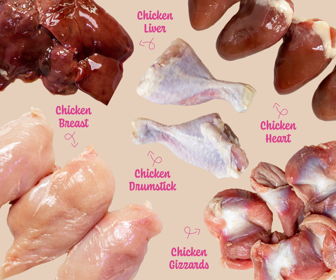 Chicken Raw Dog Food Benefits, Nutrition & Why It’s a Top Choice