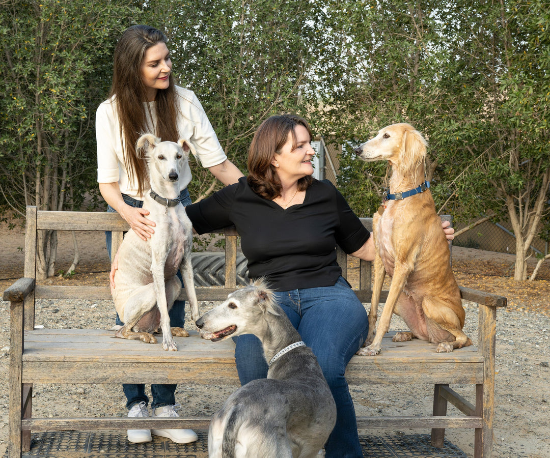 Introducing The Pet People Partnership
