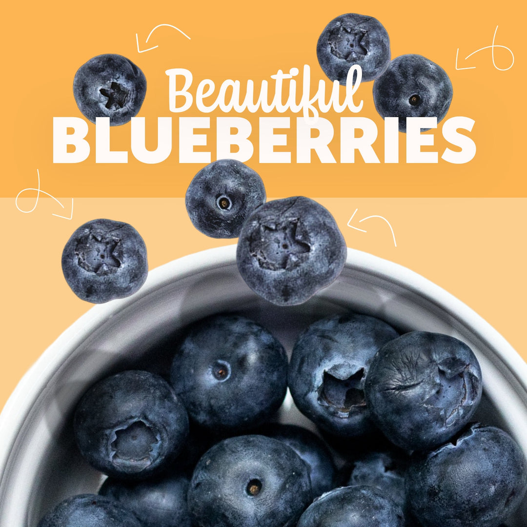 Beautiful Blueberries – A Superfood for Dogs in the UAE