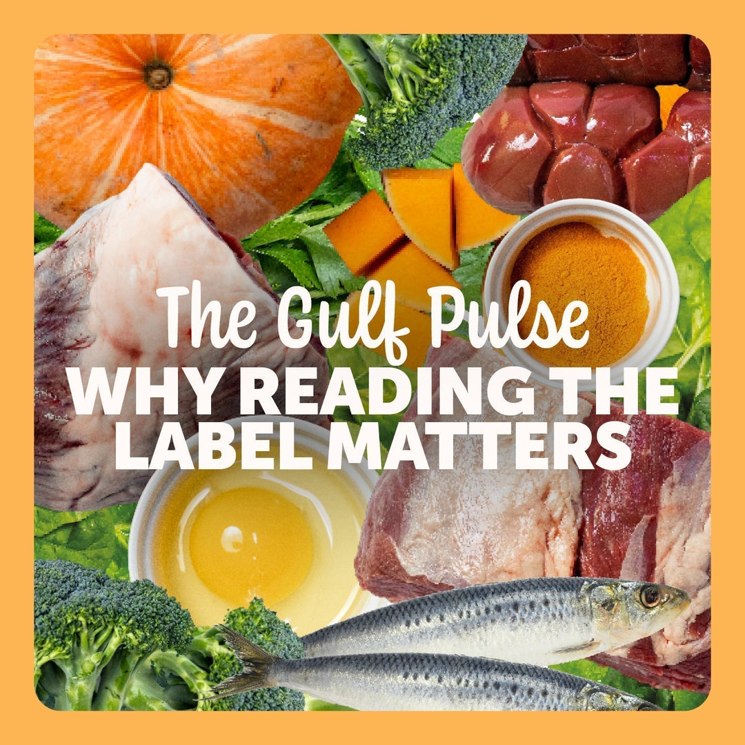 The K9 Kitchen Featured in The Gulf Pulse: Why Reading the Label Matters
