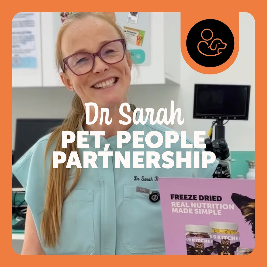 Meet Dr Sarah - What does your vet really think when they ask "what does your pet eat?"