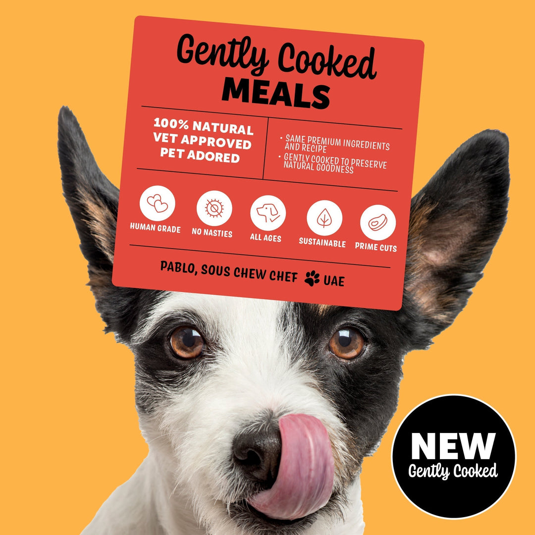 Gently Cooked Dog Food: Wholesome Nutrition for Every Pup