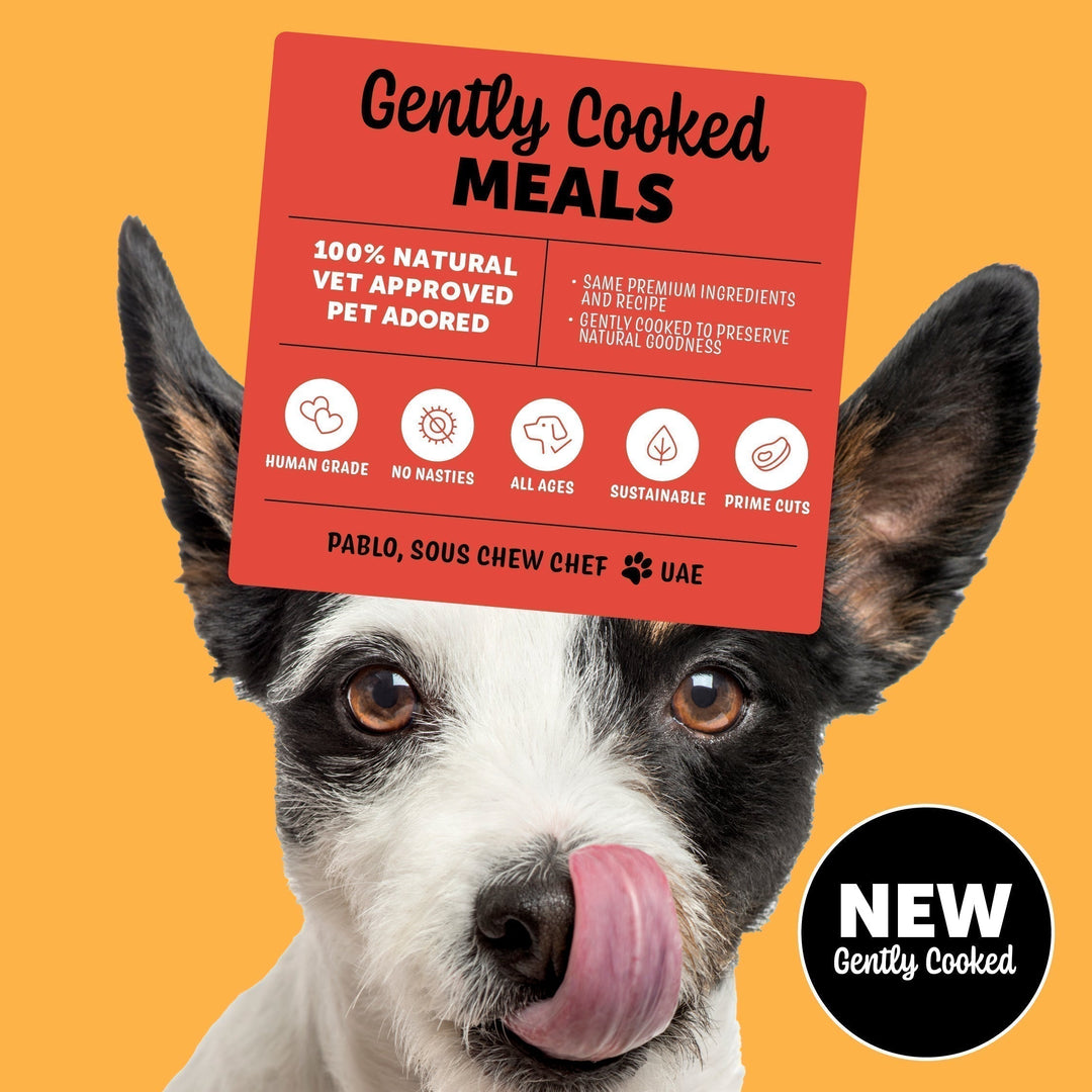 Gently Cooked Dog Food: Wholesome Nutrition for Every Pup