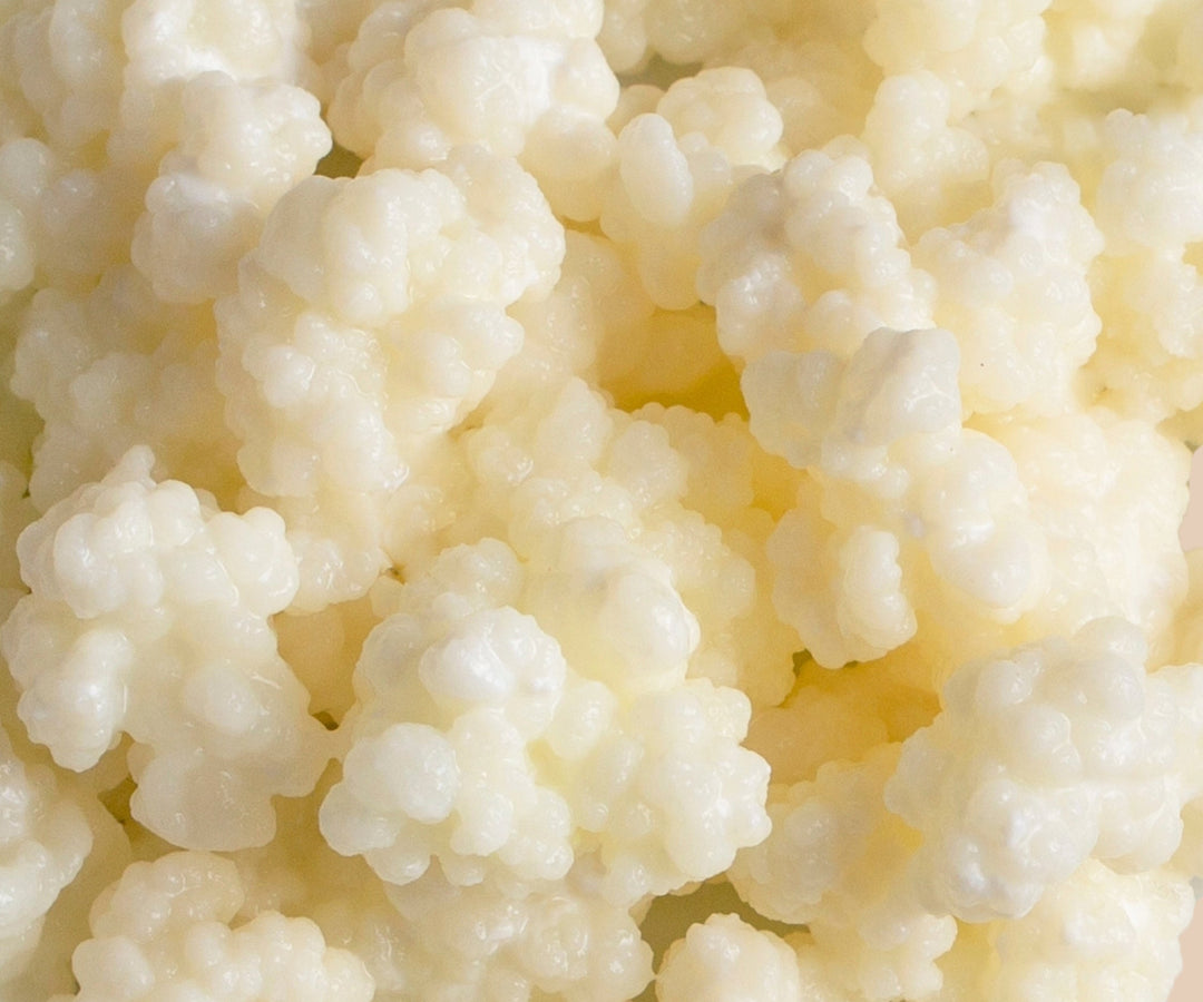 Kefir for Dogs: Healthy Frozen Treats & Gut Health Benefits
