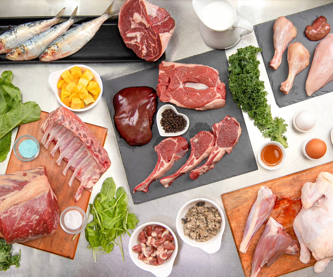 Meet Dr Sarah - Why Ingredient Quality Matters for Your Dog