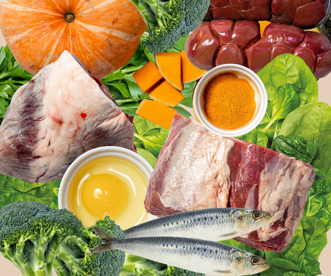 The K9 Kitchen Featured in The Gulf Pulse: Why Reading the Label Matters