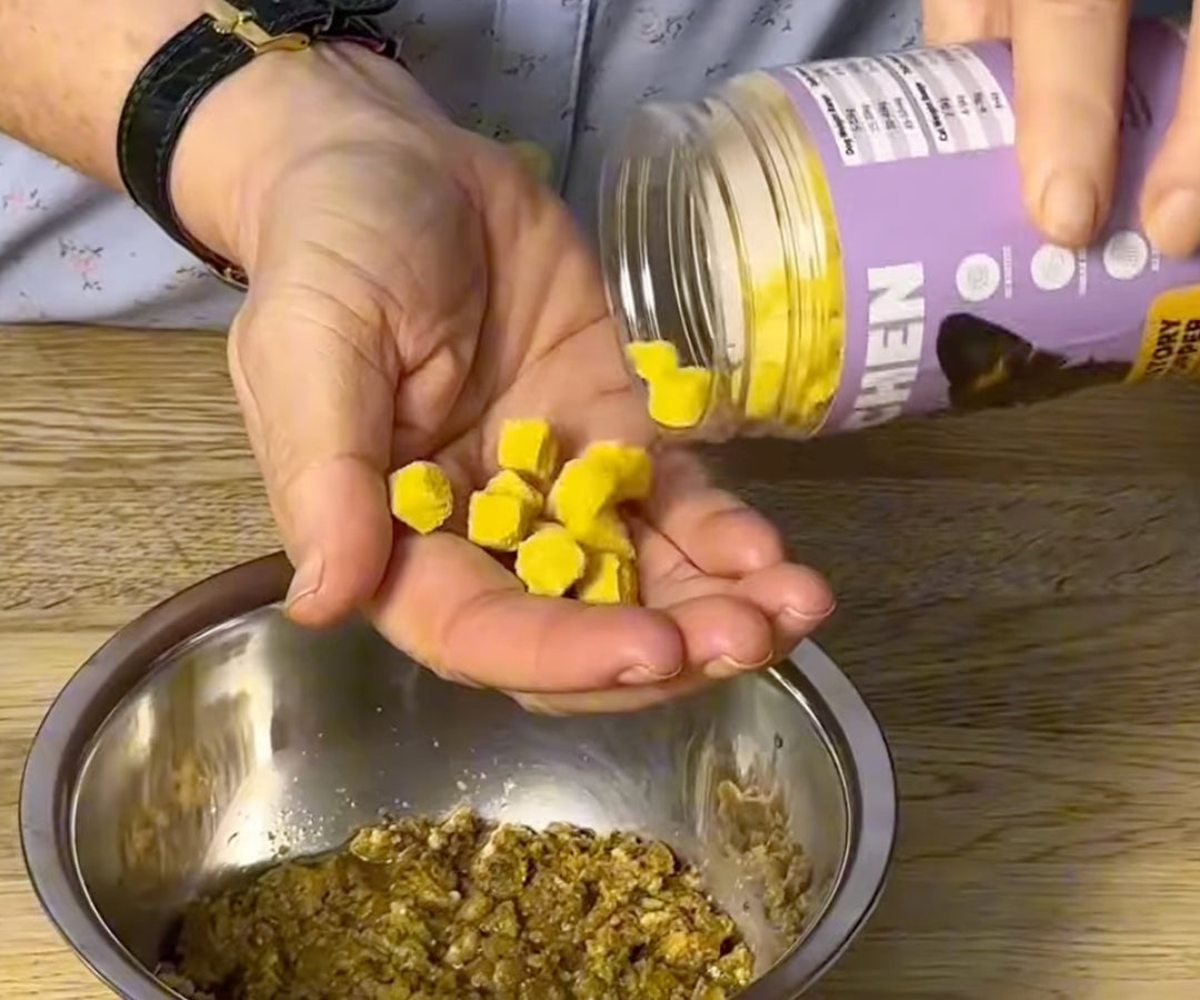 Why Freeze Dried Dog & Cat Food Is the Future of Fresh Feeding in the UAE
