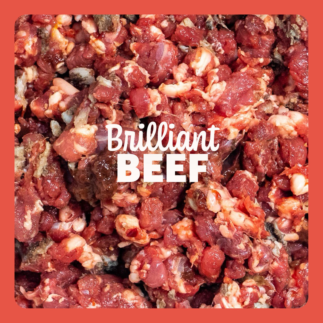Brilliant Beef – Strength and Vitality in Every Bite