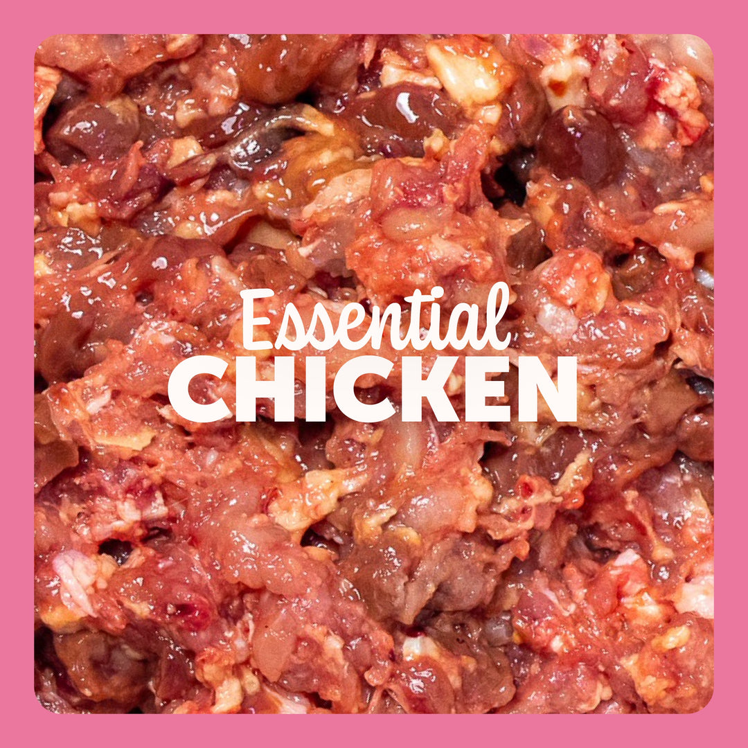 Chicken Raw Dog Food: Benefits, Nutrition & Why It’s a Top Choice