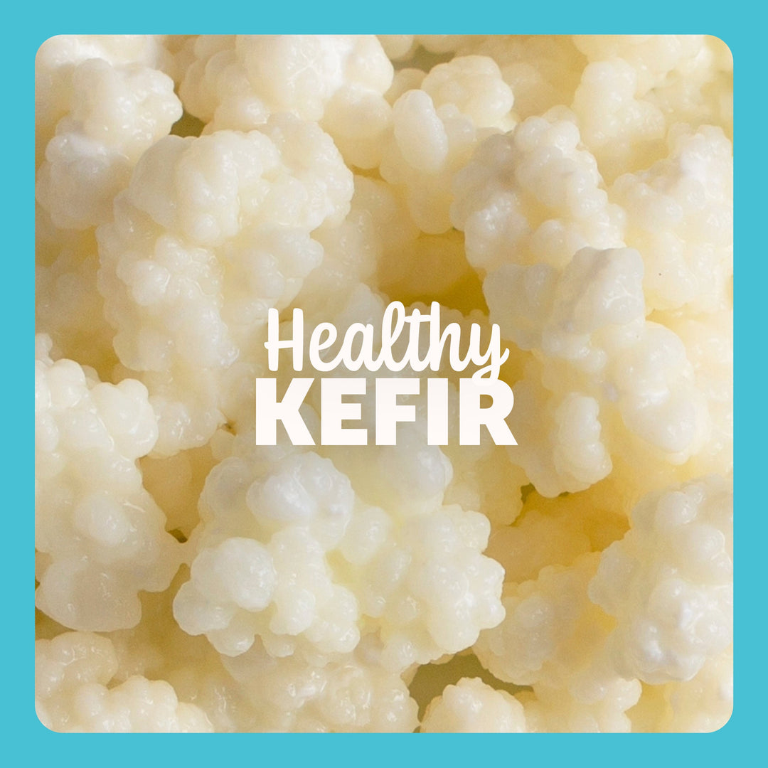 Kefir for Dogs: Healthy Frozen Treats & Gut Health Benefits