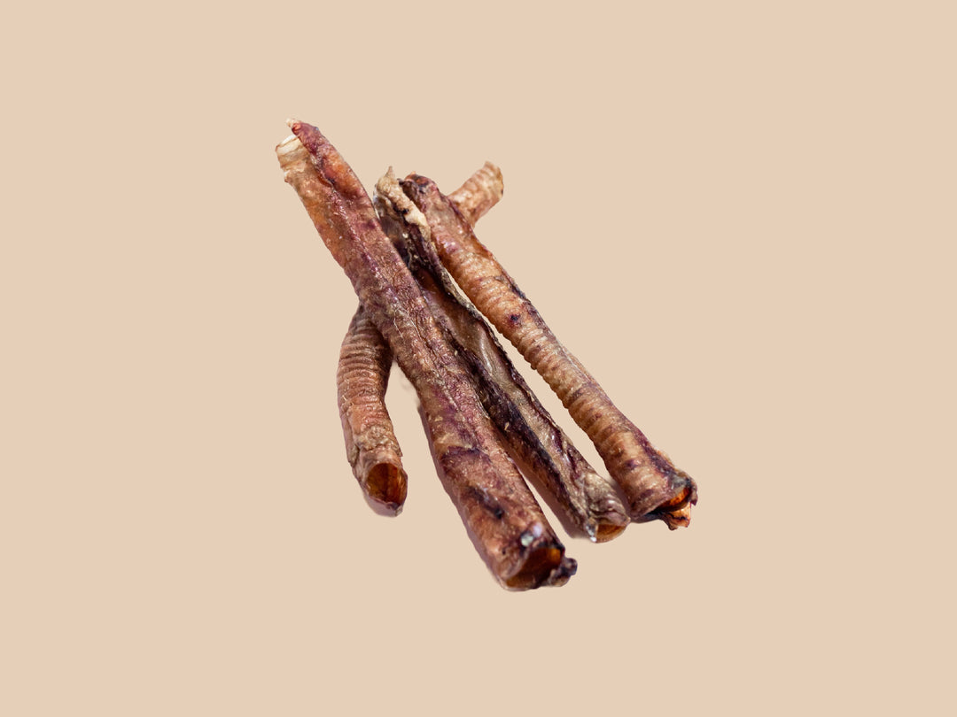 Lamb Trachea