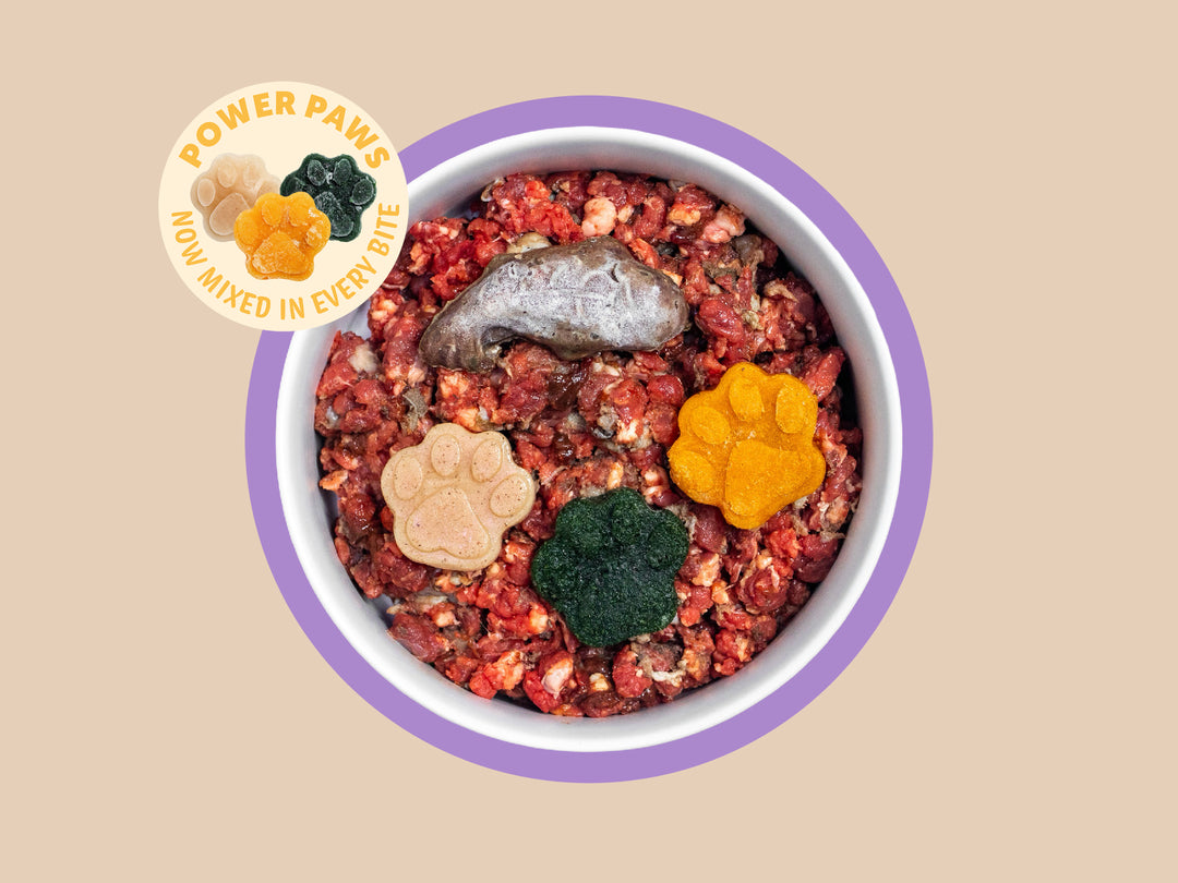 Beef & Lamb Puppy Complete