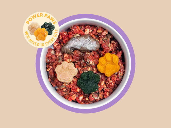 Beef & Lamb Puppy Complete