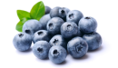 Blueberries ingredient